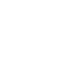 Ingersoll Rand: parceiro tecnológico