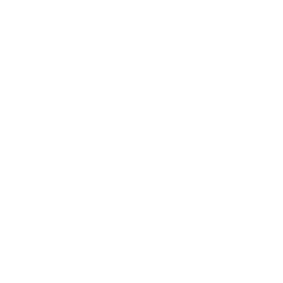 Siemens: parceiro tecnológico
